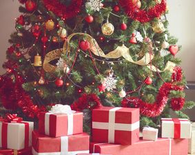 ‘Tis the season to get sick because Christmas trees are making us ill