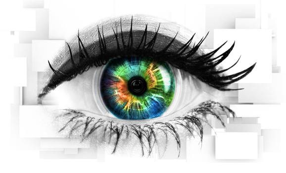 Celebrity Big Brother