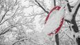 New weather warning issued this morning for LOTS of ice and snow