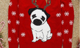 Penneys’ Christmas PUG jumpers are the cutest things you’ll ever wear