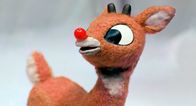 Reindeer boobs are the latest Christmas trend we wish didn’t exist