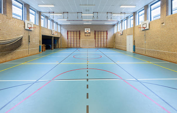 A foolproof how-to guide for getting an A1 in the PE Leaving Cert exam