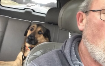 Dad babysits his daughter’s dog and it’s the sweetest thing ever