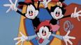 The Animaniacs are officially coming back and we’re so excited