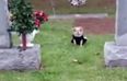 Dog refuses to leave late owner’s grave and it’s honestly a bit much