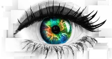 There’s a completely bananas task happening in Celebrity Big Brother