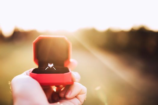 Researcher hides marriage proposal to girlfriend in scientific paper