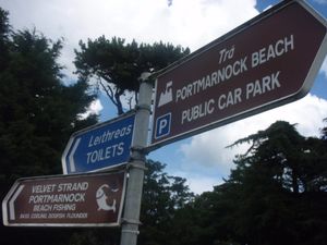 This Dublin house had its roof blown off last night