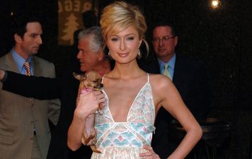 Paris Hilton offers sizeable reward for mate’s missing dog Choo Choo