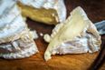 There’s now a vegan Camembert cheese, and it has already sold out
