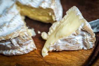 There’s now a vegan Camembert cheese, and it has already sold out
