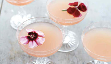 Having a party tonight? Then you need to try this ultimate gin cocktail