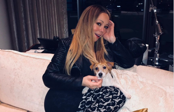 Mariah Carey tries to set up her dog for V Day… gets HUNDREDS of replies