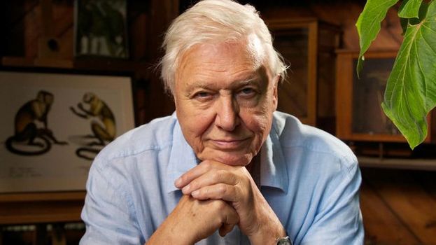 david attenborough