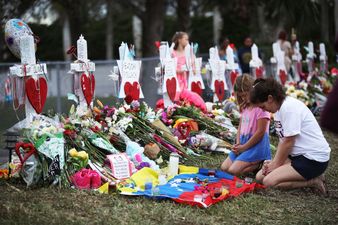 A cartoon about the Florida school shooting has triggered an emotive response online