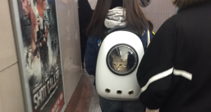 Calling all cat lovers! This ‘cat backpack’ has to be seen to be believed