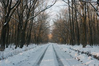 10 beautiful snow images from around Ireland taken this morning