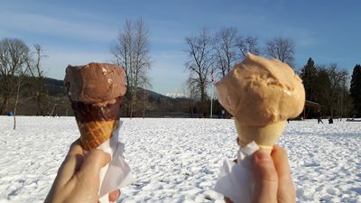 Only in Ireland… an ice cream van has been spotted delivering in the snow
