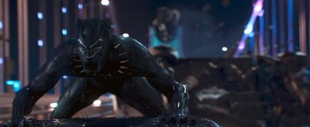 Black Panther is apparently having a huge affect on the adoption of black cats