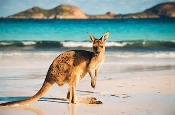 Tell us your nominee for the Aussie Blog Awards and WIN a trip to Aus!
