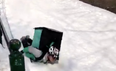 No snow will stop this Deliveroo driver from getting takeaway to his customers