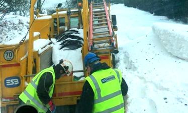 Some schools may not reopen as ESB battles to restore power to 25,000 in Leinster and Munster