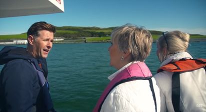 Dermot Bannon to throw a tantrum on this week’s Room to Improve