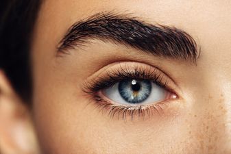 We are absolutely shocked and saddened by the latest eyebrow trend