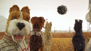 You can bring your dog to the cinema next week and we are too excited