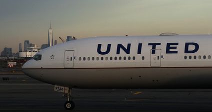 Dog dies after owner is forced to put it in overhead bin on flight