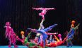 A Cirque du Soleil performer has died after tragically falling during show