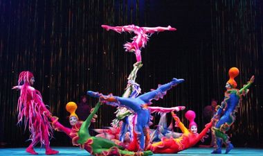 A Cirque du Soleil performer has died after tragically falling during show