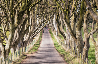 There’s a brilliant new documentary about the Game of Thrones experiences in Northern Ireland