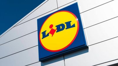 Lidl Ireland recall popular brand of cheese triangles over allergy fears