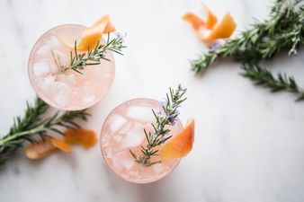 We’ve reached peak notions! Lidl has launched botanicals to garnish your G&T