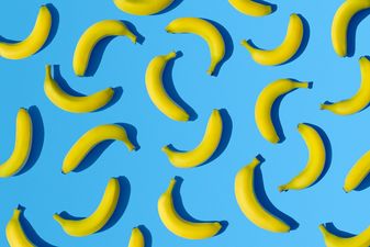 Banana art… probably the most creative thing we’ve seen on the Internet this week