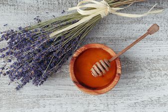 This easy-to-make lavender cheesecake looks honestly too pretty to eat