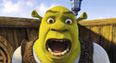 Shrek brows are now apparently a thing and we have so many questions