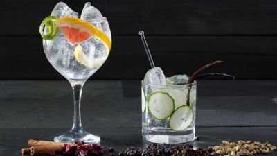 A huge gin fair is coming back to Dublin and we’ll cheers to that