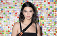 Kendall Jenner spotted ‘getting flirty’ with superstar DJ at Coachella