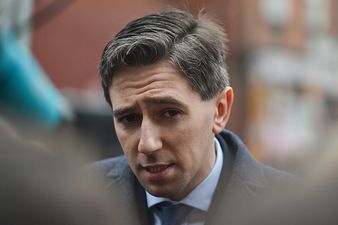 ‘Very frightening’: Simon Harris says his family is ‘shook’ after protesters gathered at his home