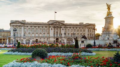 Buckingham Palace is looking for a trainee butler and the perks are great