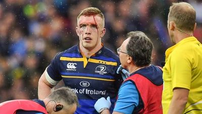 It was bloody, it was brutal… but Leinster are European champions again