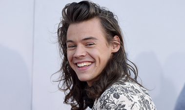 Harry Styles is producing a sitcom about his early One Direction days