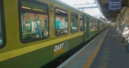 Dart services between Wicklow and South Dublin to be disrupted for the week