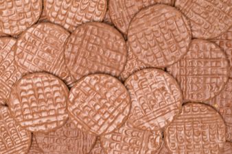 McVities are looking for a biscuit tester and yeah, dream job alert really