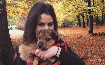 Goodbye best friend: how to deal with the loss of a family pet