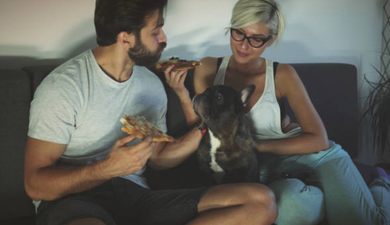 Our pets are better Netflix viewing partners… so move over bae