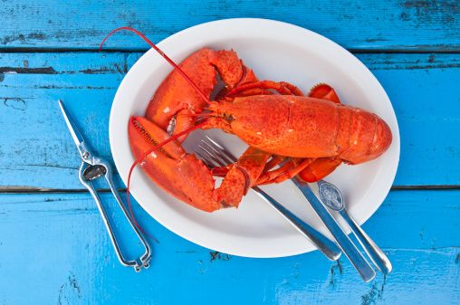 cotton club lobsters