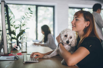 Tomorrow is national bring your dog to work day and we’ve never been so excited